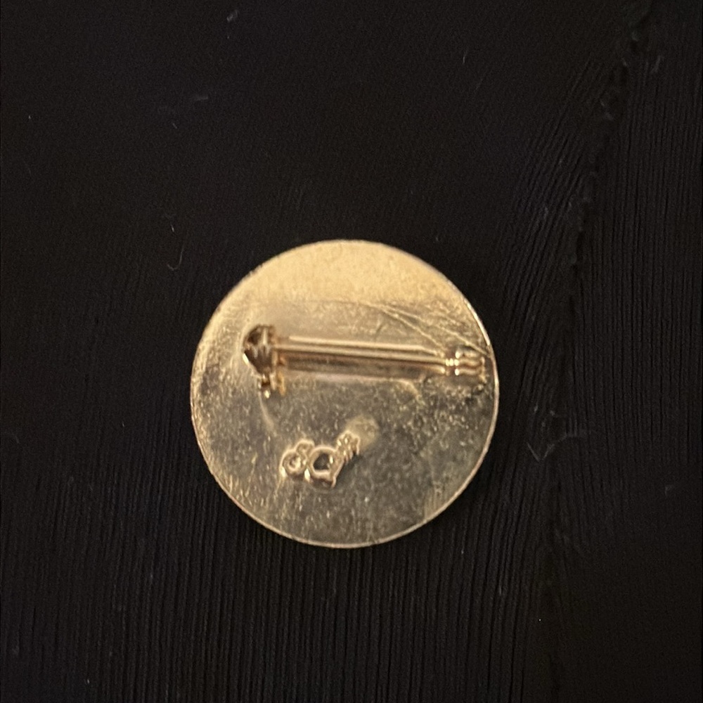 COPY - NO WHINING PIN - Picture 2 of 2